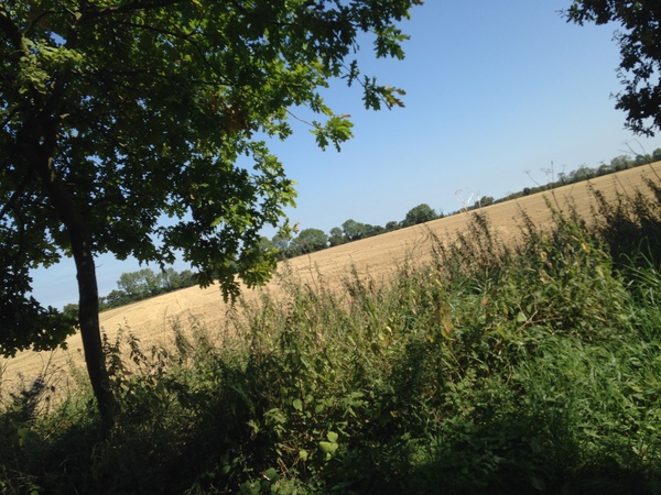 Photos taken on your cycle.