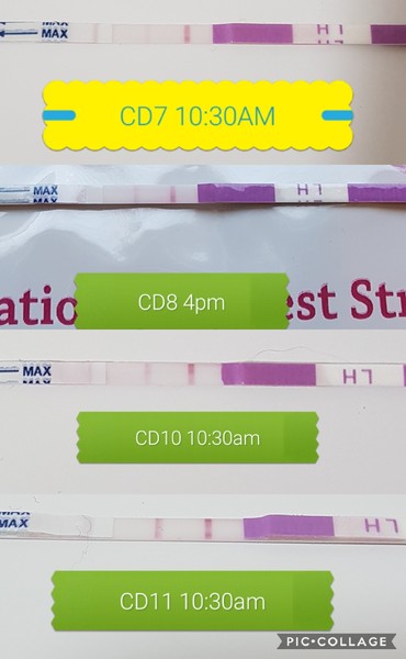 OPK First Timer Advice.. pic included :-P