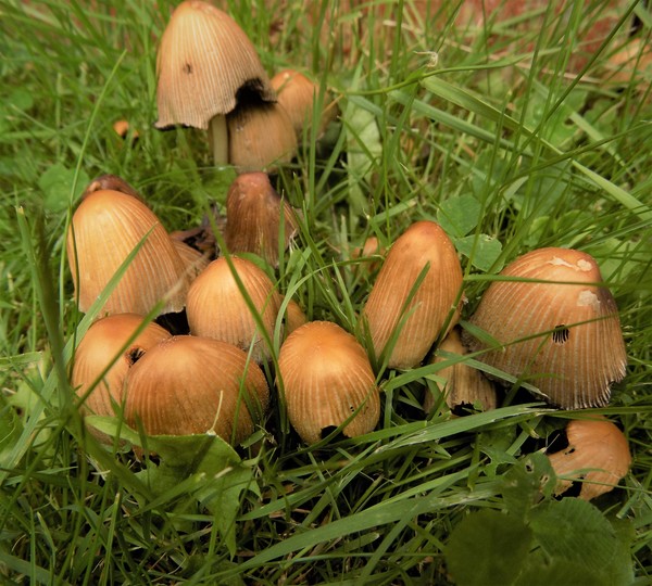 AIBU to be excited it's nearly Autumn