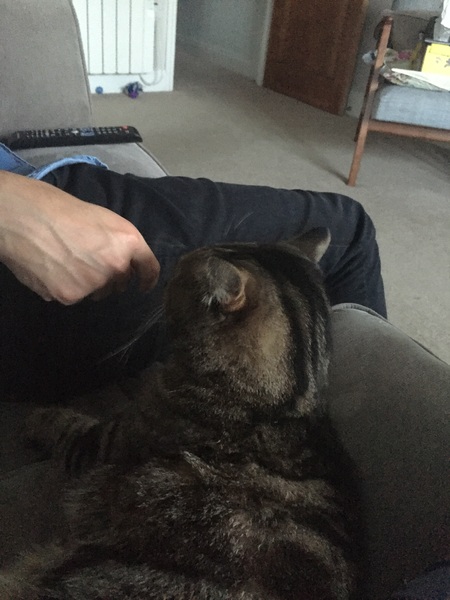 The Friendly Frugaleers, watching the pennies as we wait for sunshine!