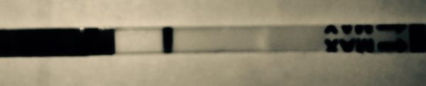 Very faint tests what gives?