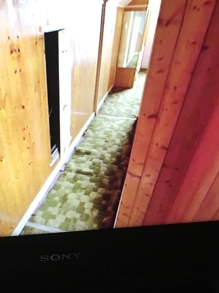 Does anyone know what this type of carpet is called?