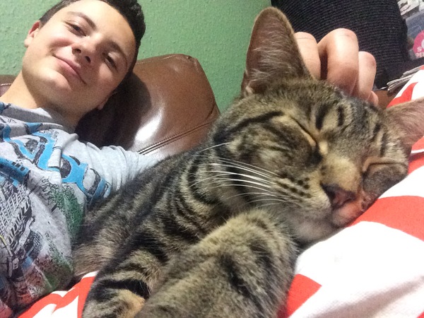 Cats still catting away part 5