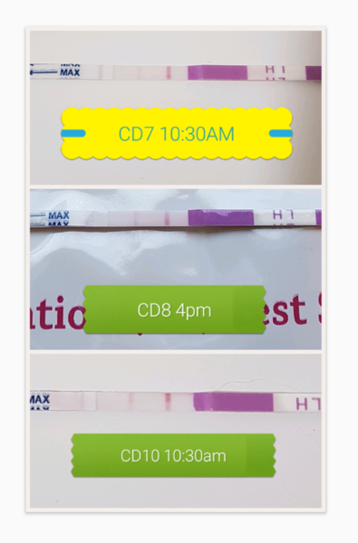 How the chuff do you use OPKs?!