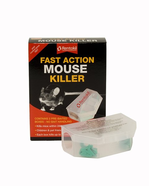 Sharing my bedroom with a mouse ...