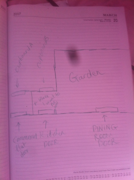 Neighbours and garden
