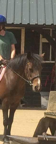 AIBU - You don't bring a toddler to a hen do?