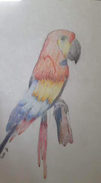 Child aged 5-11 who loves drawing? Enter the BIC® competition