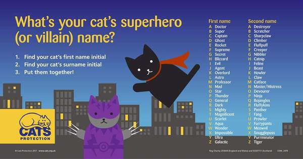 Friday fun-your cat's superhero name