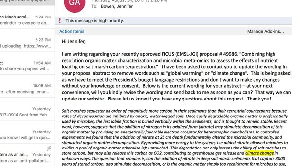 Trump: yes, we have no Steve Bannon