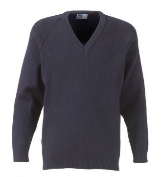WIBU to get the school cardigan for DS?