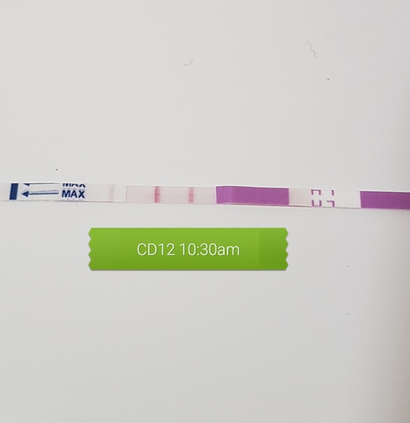 How the chuff do you use OPKs?!