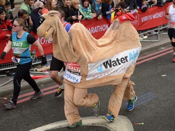 Hospital refusing demeaning fancy dress donation