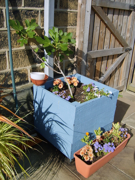 Mediterranean garden - what colour to paint wood (picture)