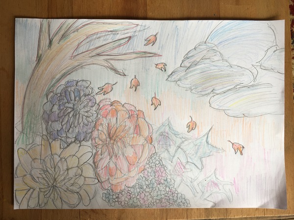 Child aged 5-11 who loves drawing? Enter the BIC® competition