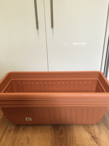 Tall plants that are easy to grow for privacy in front garden.