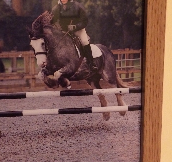 How do you ever buy a horse???