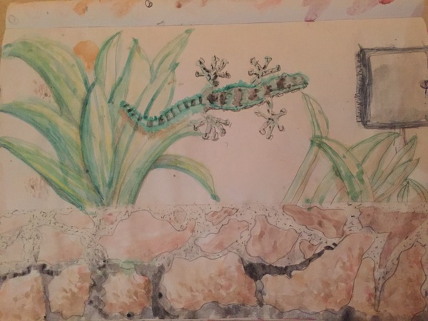 Child aged 5-11 who loves drawing? Enter the BIC® competition
