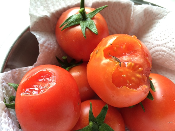 Allotment?Veg Patch Thread 10 - Plotmenters  busy into summer ! and loving James Wong