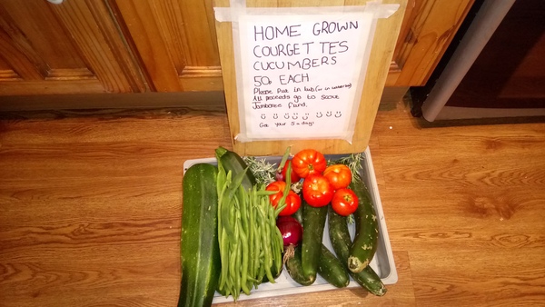 Allotment?Veg Patch Thread 10 - Plotmenters  busy into summer ! and loving James Wong