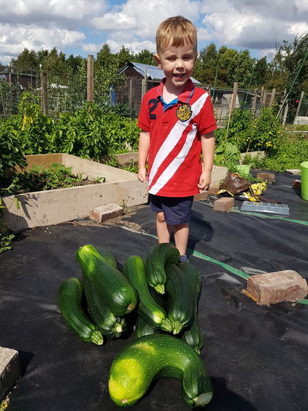 Allotment?Veg Patch Thread 10 - Plotmenters  busy into summer ! and loving James Wong