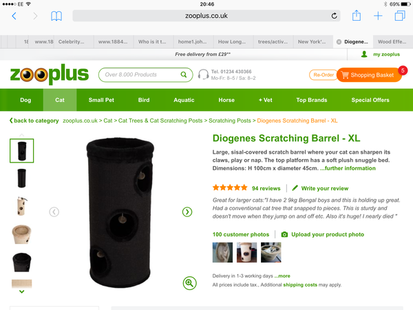 Cat trees/activity centres. Are they worth it?