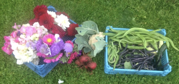 Allotment?Veg Patch Thread 10 - Plotmenters  busy into summer ! and loving James Wong
