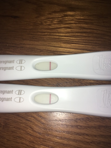 TTC #2 (August bfps)
