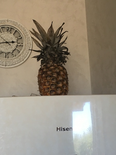 AIBUto ask to see your stunt pineapple?