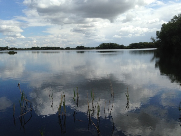 Photos taken on your cycle.