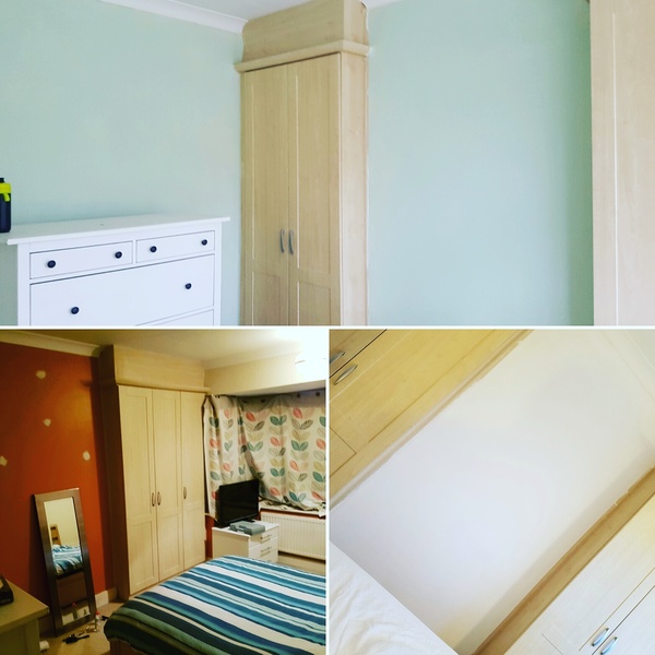 Please help me find a lovely sage green for my lounge!