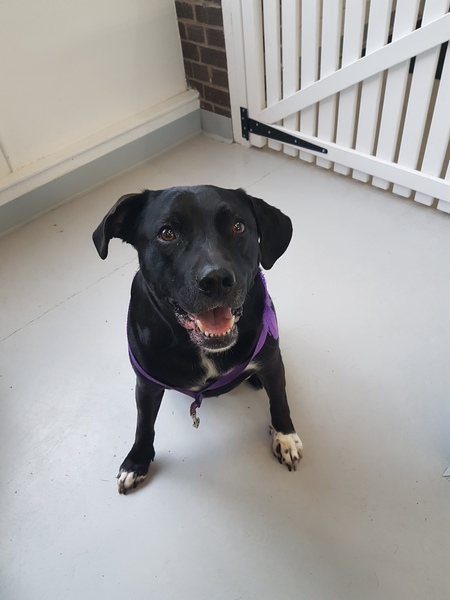 CFN thread #10 (grand)