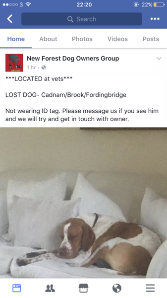 To ask if anyone can help us find our dog?