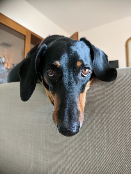 Between bootcamps support thread Summer17