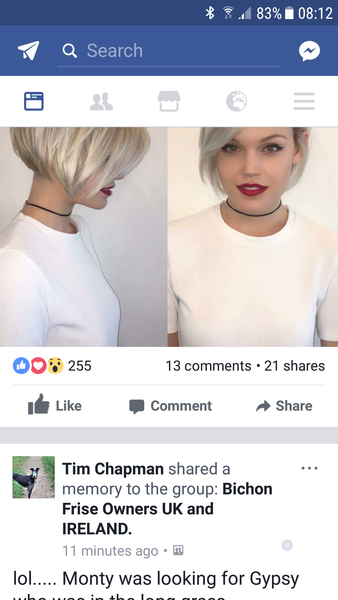 Want to go down the Pixie cut route again ...