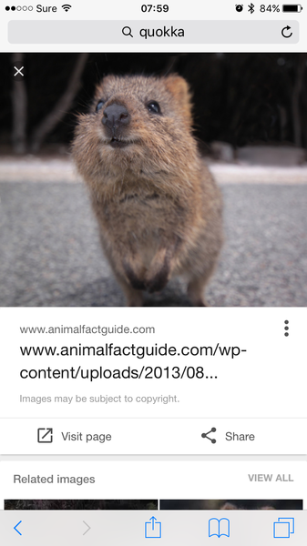 The Friendly Frugaleers, watching the pennies as we wait for sunshine!