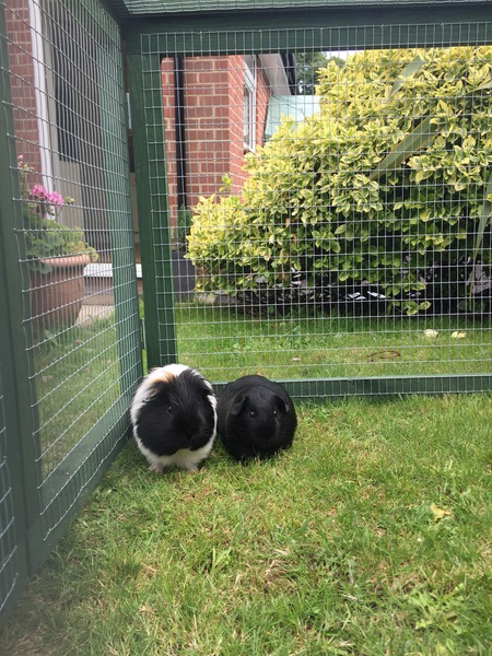 And then there were four...