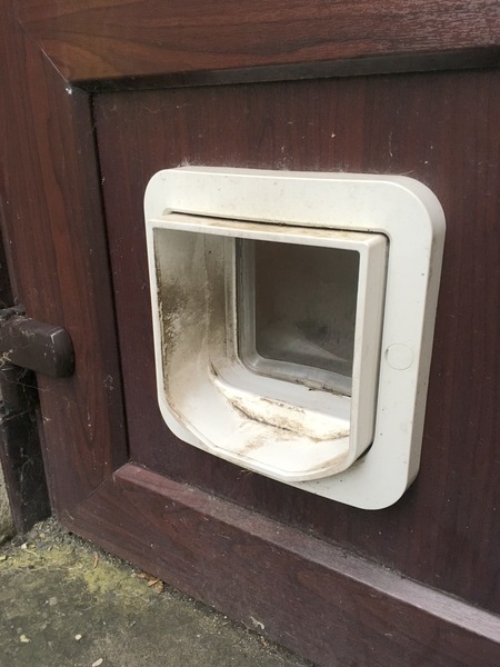 Cat flap issue - can anyone advise on brand compatibility