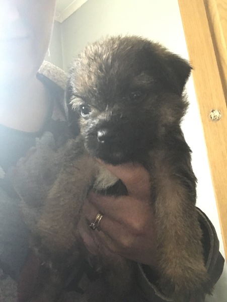 Name help!
