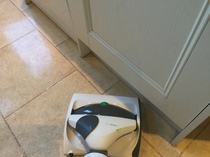 Feedback Thread for the Vorwerk Kobold VK200 Vacuum Cleaner Testers