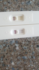 Pregnancy