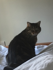 The Friendly Frugaleers, watching the pennies as we wait for sunshine!