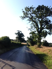 Photos taken on your cycle.