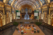 Has anyone done the Dinosnores sleepover at the Natural History Museum?