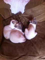 Pre-summer Bootcamp - our last weigh-in!