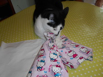 Cats still catting Part 4