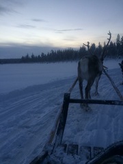 Lapland