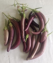 Allotment?Veg Patch Thread 10 - Plotmenters  busy into summer ! and loving James Wong