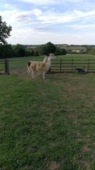 Photos taken on your cycle.