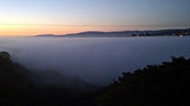Selling in Silicon Valley - Want to come along for the wild ride?